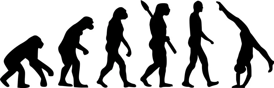 Evolution Gymnastics Acrobatic イラスト素材