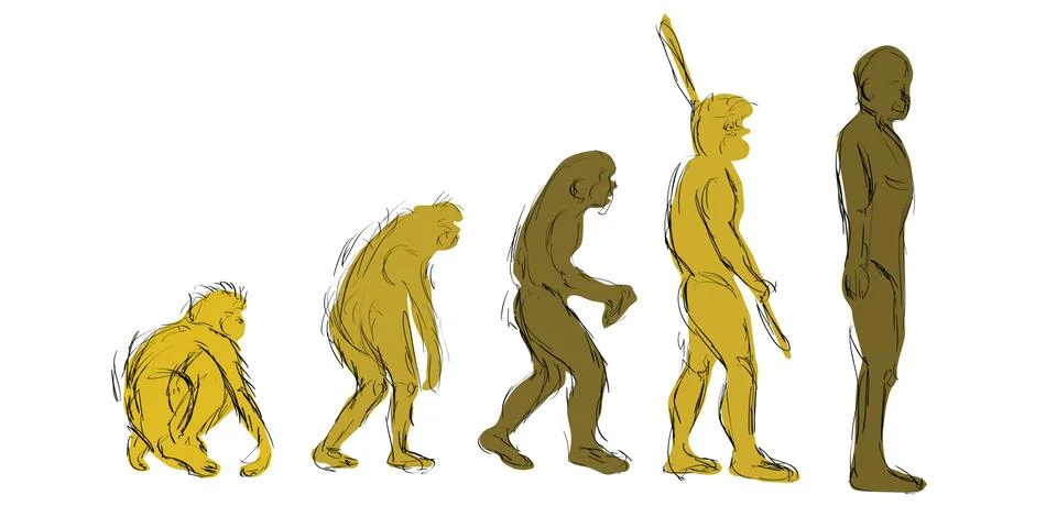 Evolution hand-draw Stock Illustration