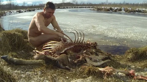 The Evolution of the Homo Sapiens, Naked guy feeding on moose carcase Stock Footage 61919057