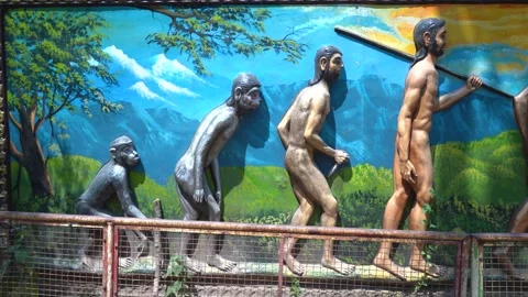 The Evolution of Humans Through Time Stock Footage 313566605