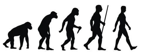 Evolution Illustrazione stock
