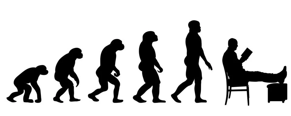 Evolution Stock Illustration