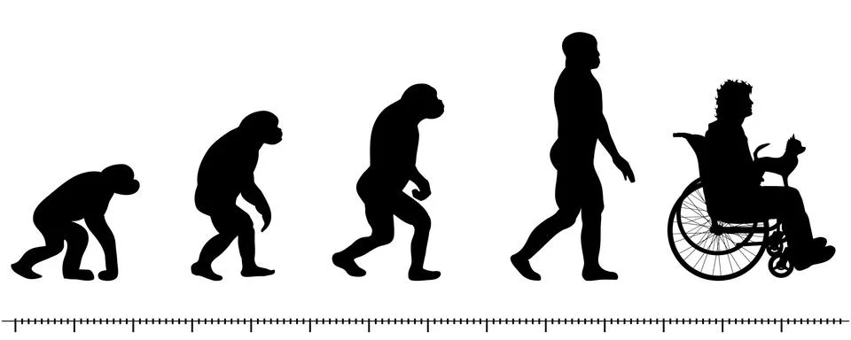 Evolution イラスト素材
