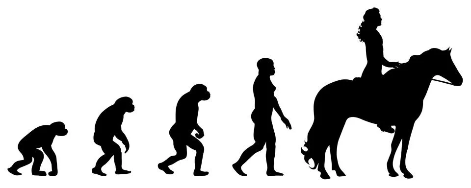 Evolution Illustrazione stock