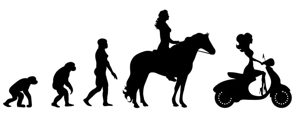 Evolution イラスト素材