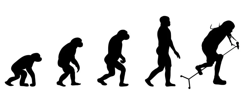 Evolution Stock Illustration