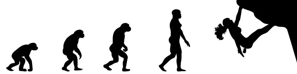 Evolution Illustrazione stock