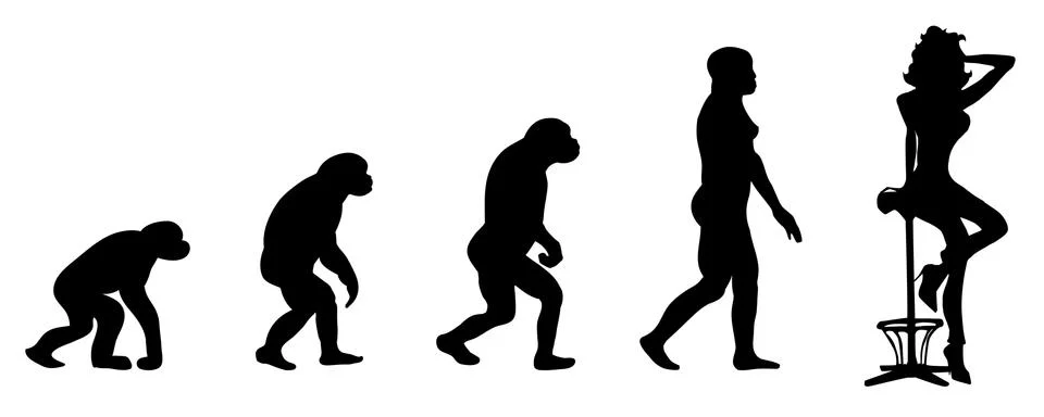 Evolution イラスト素材