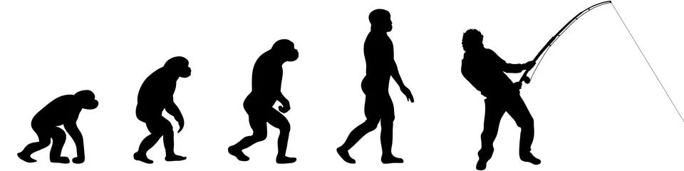 Evolution イラスト素材