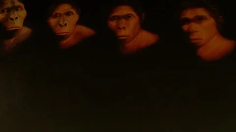 Evolution of man Stock Footage 40669929