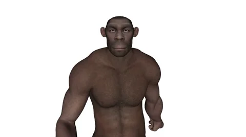 Evolution, man-monkey becomes homo erectus and contemporary man Stock Footage 66064957