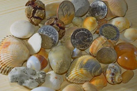 Evolution of money Stock Photos