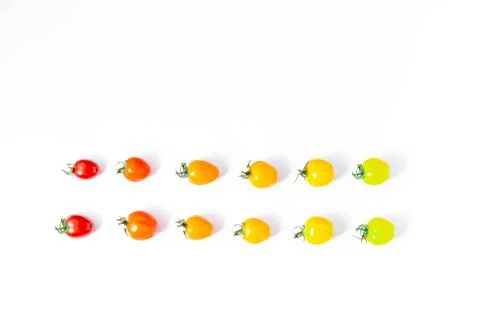 Evolution of pairs of tomatoes from raw green to mature red Photos