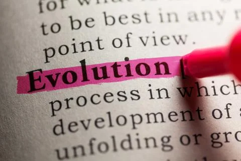 Evolution Stock Photos