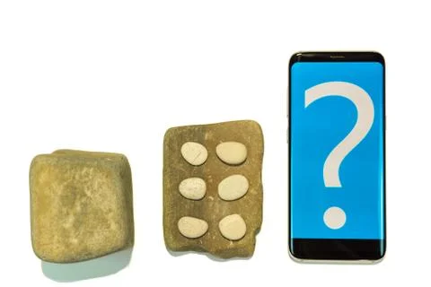 Evolution Stock Photos