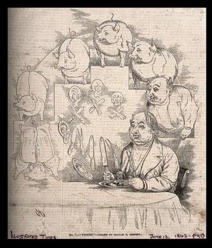 The evolution of pieces of pork into a pig into a man seated at his dinner .. Illustrazione stock