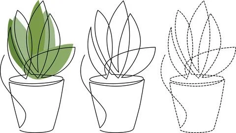 Evolution of a potted plant from realistic to minimalist line drawing style.. Stock-Illustration