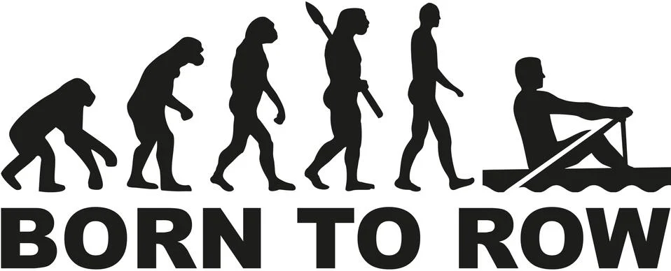 Evolution Rowing - born to row イラスト素材