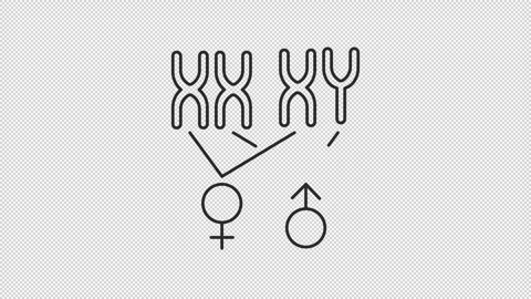 Evolution science animation set Stock Footage 296623579