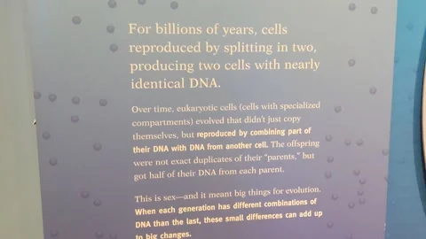 The Evolution of Sex Signage Stock Footage 169397559