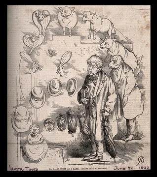 The evolution of a shuttlecock and bats into a sheep into a timid young man.. Stock Illustration