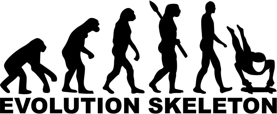 Evolution Skeleton Illustrazione stock