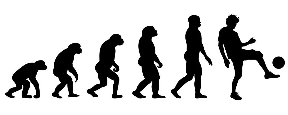 Evolution sport 스톡 일러스트