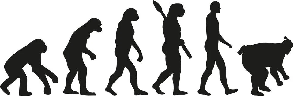 Evolution sumo wrestling 스톡 일러스트