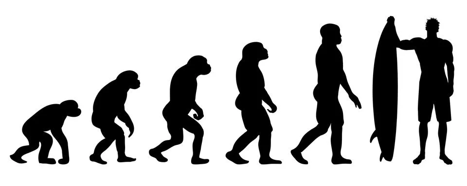 Evolution surf イラスト素材