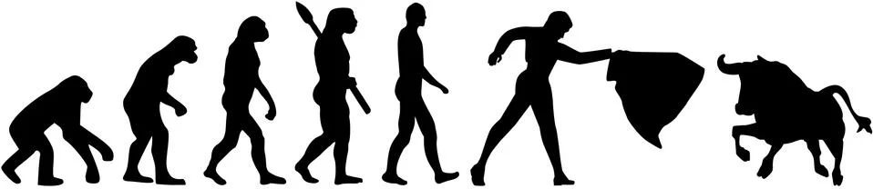 Evolution torero Stock Illustration
