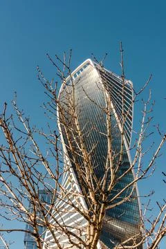 Evolution tower on a background of blue sky and branches of the spring sky... Stock Photos