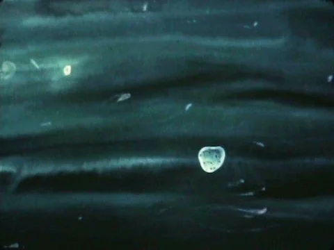 The evolution of underwater organisms into fish, then reptiles, is animated inƒ Stock Footage 75280383