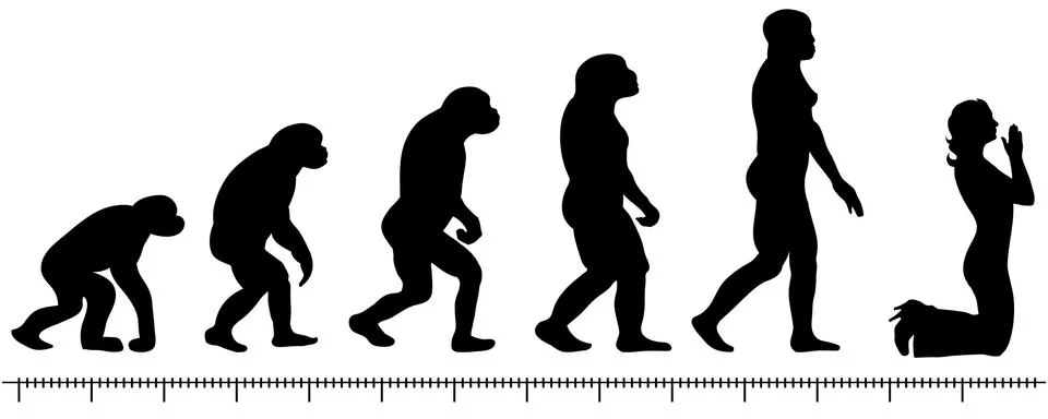 Evolution woman 스톡 일러스트