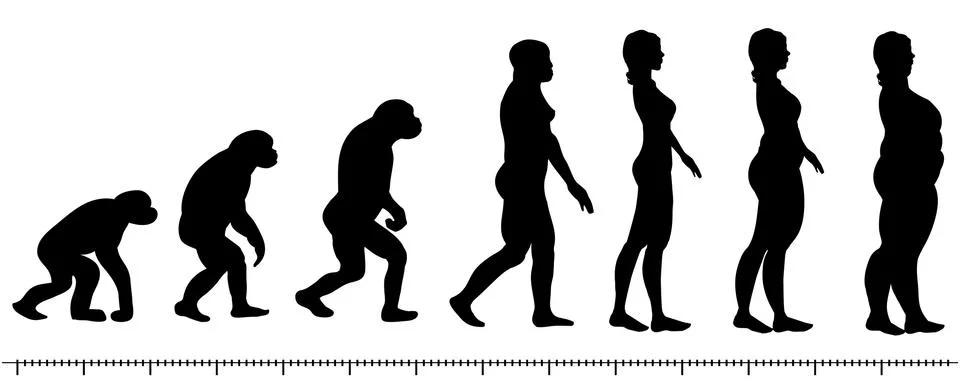 Evolution woman 스톡 일러스트