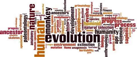 Evolution word cloud イラスト素材