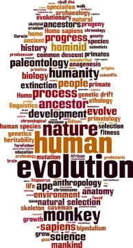 Evolution word cloud Stock Illustration