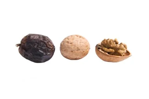 Evoluton of walnuts Stock Photos