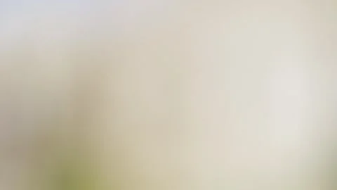 Evolving Color Gradients Animation Stock Footage 259564691