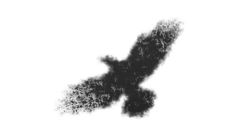 Evolving forms of an eagle through abstract animation Stock Footage 320417490