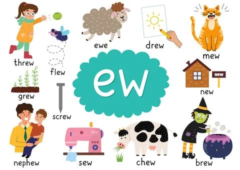-Ew- digraph spelling rule educational poster for kids with words Stock Illustration