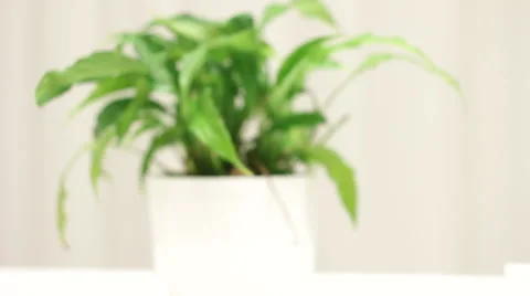 Before Exam Session Stock Footage 47094759