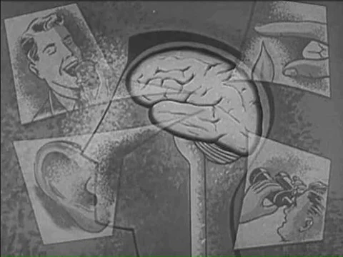 Examination of the function of the frontal lobe in the brain in the 1950s. Video stock 75292534