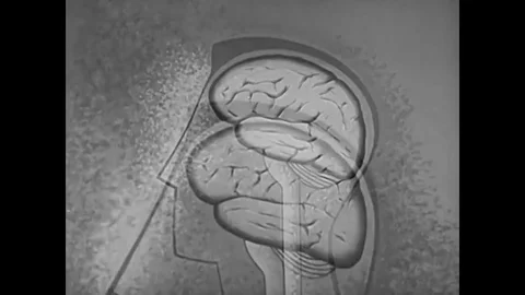 Examination of the function of the frontal lobe in the brain in the 1950s. Stockbeeldmateriaal 83165447