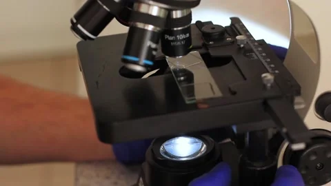Examination of liquid with on glass under a microscope Stock-Footage 219644479