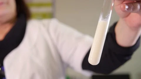 Examination of milk, Laboratory assistant examines dairy products Stock Footage 75224489
