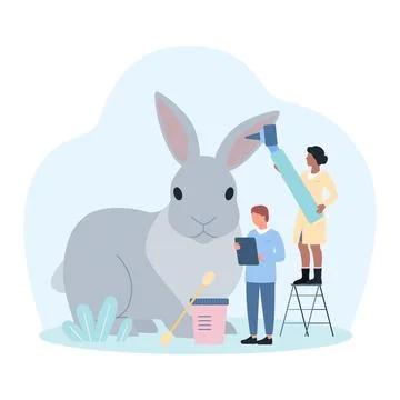 Examination of rabbit by veterinarian, tiny doctors check ear of pet with Stock Illustration