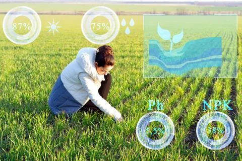 Examination of the root system of plants using sensors. Processing and analys Stock Photos