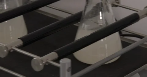 Examination of samples in the laboratory Stock Footage 126706616