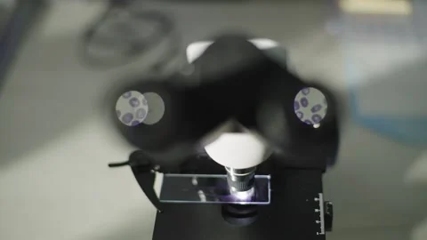 Examination through a microscope of the presence of diseases. Stock Footage 240300894