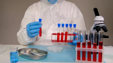 Examine blood in the laboratory. Selective focus. Stock Footage 313330270